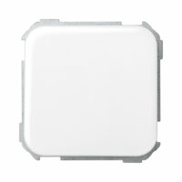 Interruptor Simple Simon 31